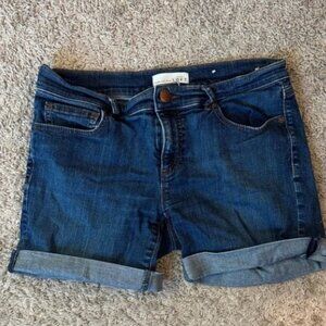 Ann Taylor Dark Blue Denim Jeans / K10